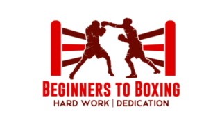 Beginners to Boxing